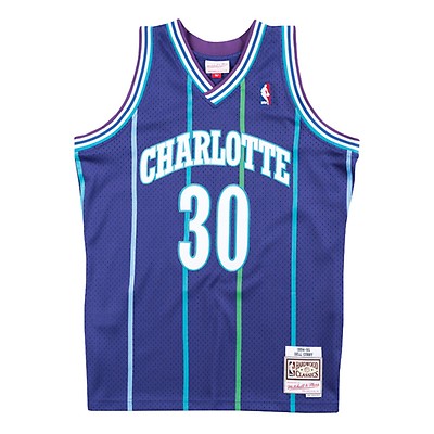 Shop Mitchell & Ness Charlotte Hornets 92 Dell Curry NBA Swingman