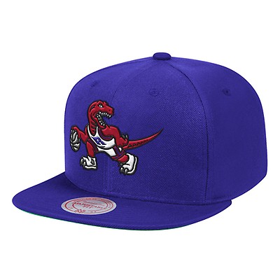 Mitchell and hot sale ness raptors snapback