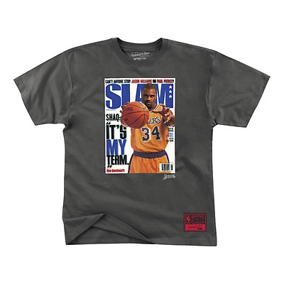 Shop Mitchell & Ness Philadelphia 76ers Iverson Slam T-Shirt (black) online