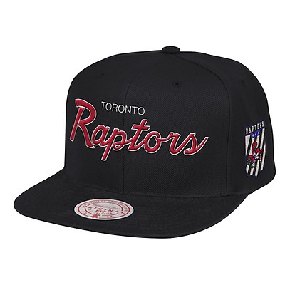 Mitchell and ness sales raptors cap