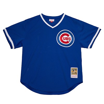 Cubs No8 Andre Dawson White(Blue Strip) 2017 Gold Program Cool Base Stitched Youth Jersey