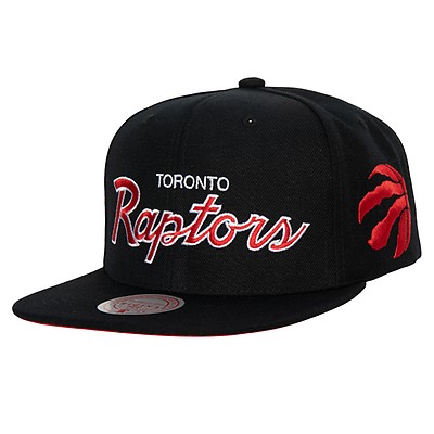 Kšiltovka Mitchell & Ness Team Arch 2 Tone Snapback Toronto