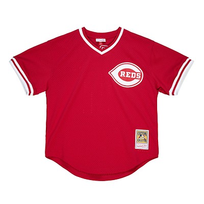 Mitchell & Ness Men's Johnny Bench Red Cincinnati Reds 1983 Authentic Cooperstown Collection Mesh Batting Practice Jersey - Red