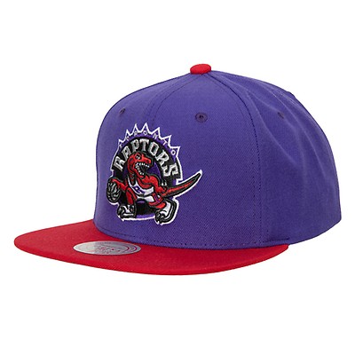 Toronto Raptors NBA Mitchell & Ness Men's Purple Alternate Logo Snapback