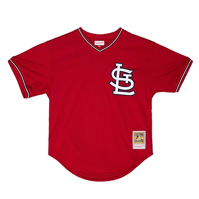 mitchell and ness stan musial jersey