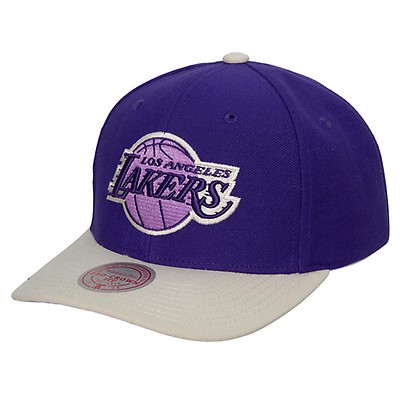 Mitchell & Ness Los Angeles Lakers Asian Heritage Snapback Hat Purple