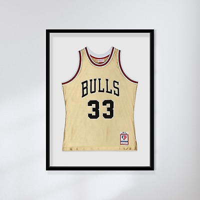 Dennis Rodman Chicago Bulls Mitchell & Ness 1996-97 Hardwood Classics NBA  75th Anniversary Diamond Swingman Jersey - Red