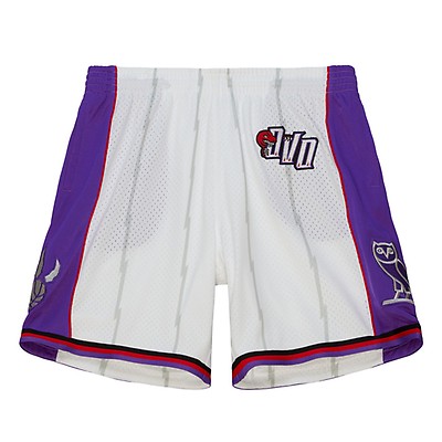 Mitchell & Ness ASTRO SWINGMAN SHORT - TORONTO RAPTORS Brown - GREY