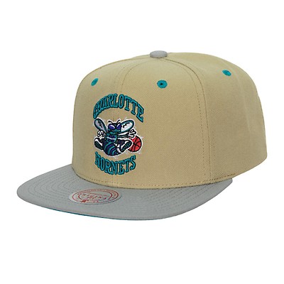 Shop Mitchell & Ness Charlotte Hornets HWC Snapshot Snapback  6HSSMM19455-CHOBKTL black