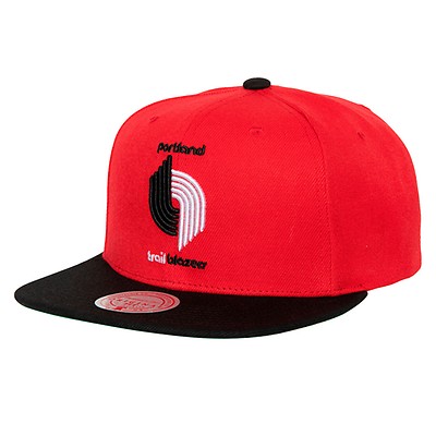 Toronto Raptors Mitchell & Ness NBA Core Snapback Hat