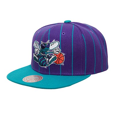 Mitchell & Ness Men's NBA Charlotte Hornets Team 2 Tone 2.0 HWC Snapback Cap