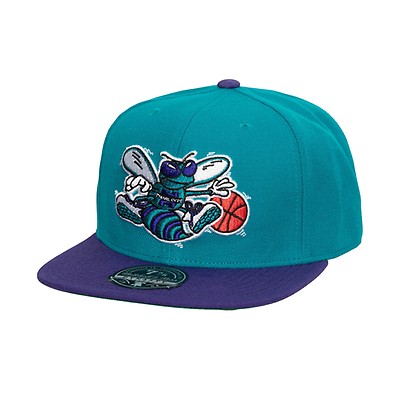 Charlotte Hornets Sail Two Tone Hwc Off White/Purple Snapback - Mitchell &  Ness cap