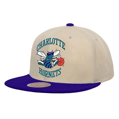Charlotte Hornets Men’s The Highlighter Team Pop Mitchell & Ness Snapback  Hat