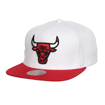 Chicago Bulls Authentic Mitchell & Ness Michael Jordan 1996 All-Star J –  Official Chicago Bulls Store