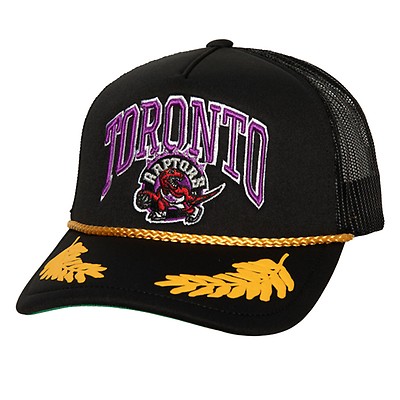 Raptors best sale dad hat