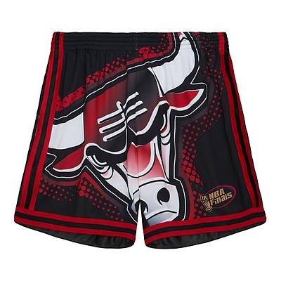 TORONTO RAPTORS BIG FACE MITCHELL AND NESS NBA SHORTS