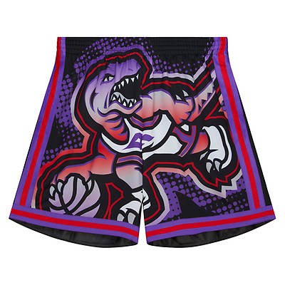 MITCHELL AND NESS Charlotte Hornets Big Face Shorts SHORBW19069