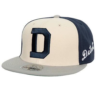 Detroit Tigers Mitchell & Ness Evergreen Pro Snapback Coop Hat