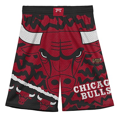 Mitchell and Ness Chicago Bulls Flames Swingman Shorts – Stephen