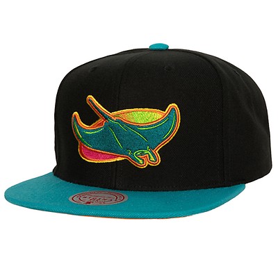 The Damn Snapback Coop Tampa Bay Rays