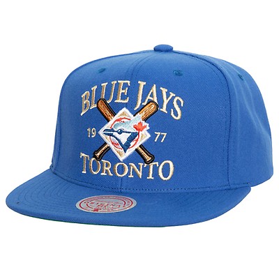 Homefield Fitted Coop Toronto Blue Jays - Shop Mitchell & Ness