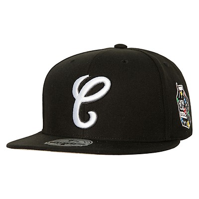 Mitchell & Ness MLB Chicago White Sox Evergreen Pro Crown Coop Snapback Hat