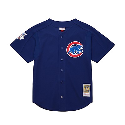 Cubs bp hot sale jersey