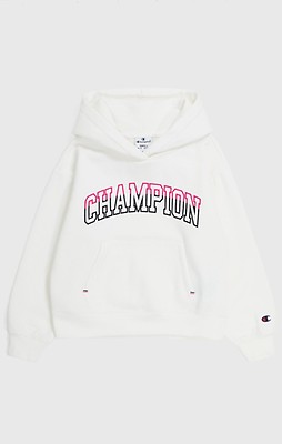 Multicolor champion clearance hoodie