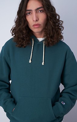 Champion sweater dark green zebra sale