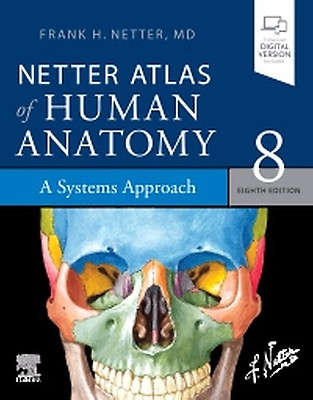 Netter Atlas of Human Anatomy: Classic Regional - 9780323680424