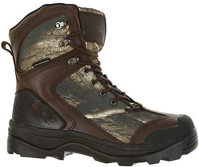 irish setter ladyhawk 2000
