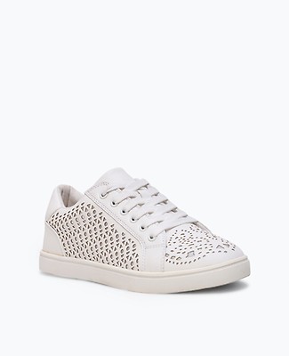 basket texto nouvelle collection