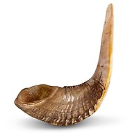 Shofar In Corno Di Montone Naturale - Con Curva Superiore E Creste, Nave Da Israele - Foto 3