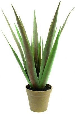 EUROPALMS Mexikanischer Kaktus, Kunstpflanze, grün, 123cm