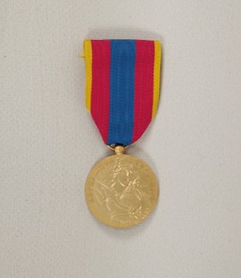Médaille de la protection militaire du territoire sous blister