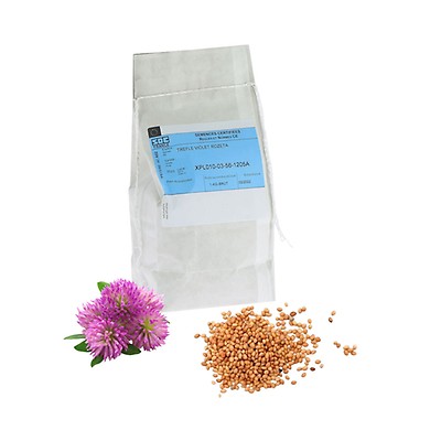 Graines de Phacélie à feuilles de tanaisie - Phacelia