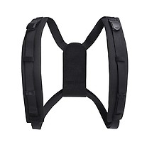 BLACKROLL POSTURE PRO