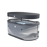 Netspa Jarvi
