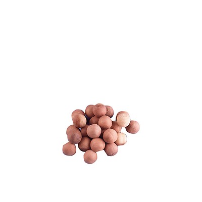 Cedar Lot x 6 pastilles antimites en cèdre naturel, Brown, Unique