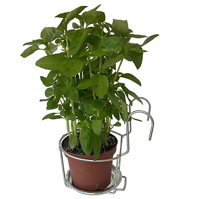 Housse d'hivernage HIVERZIP XL pour grandes plantes - 3 x 1 x 2,10 m -  Blanc