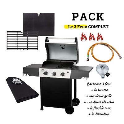 Barbecue Gaz Duke 4 Feux Et Brûleur Latéral - 14 Convives - Housse De  Protection à Prix Carrefour