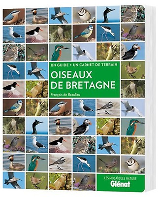 Fleurs Du Littoral Littoral Mediterraneen Nature Faune Flore