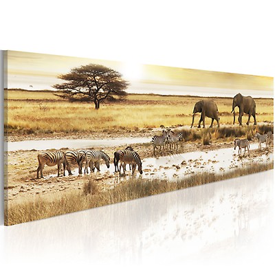 Tableau Sur Verre Trempé Tulup 100x50 Cm - Éléphant Dans La Savane - Style Moderne