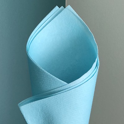 25 serviettes luxe non-tissées aqua bleu 40/40 cm Nature