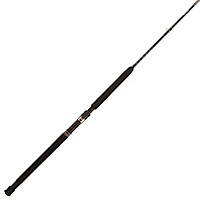 shakespeare ugly stik elite 10ft