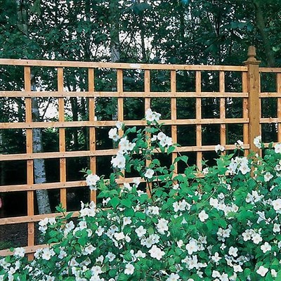 Forest 6 X 6 Heavy Duty Square Garden Trellis Fence Panel 1 83m X 1 83m Buy Fencing Direct