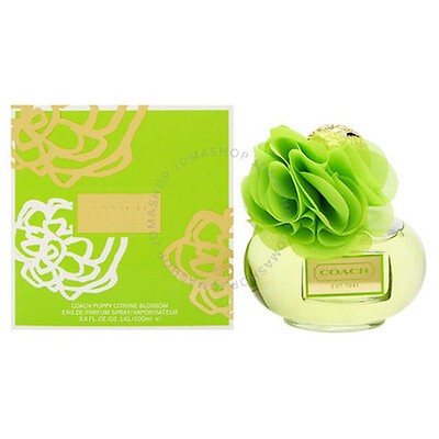 Coach Ladies Floral Blush EDP Spray 3 oz (Tester) Fragrances ...