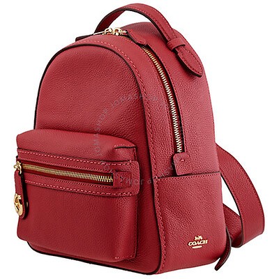 coach campus backpack 23 in signature rose print