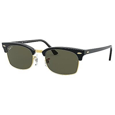 gg0003s polarized