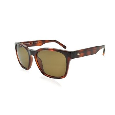 Salvatore Ferragamo Brown Rectangular 58 mm Men's Sunglasses SF960S 214 ...